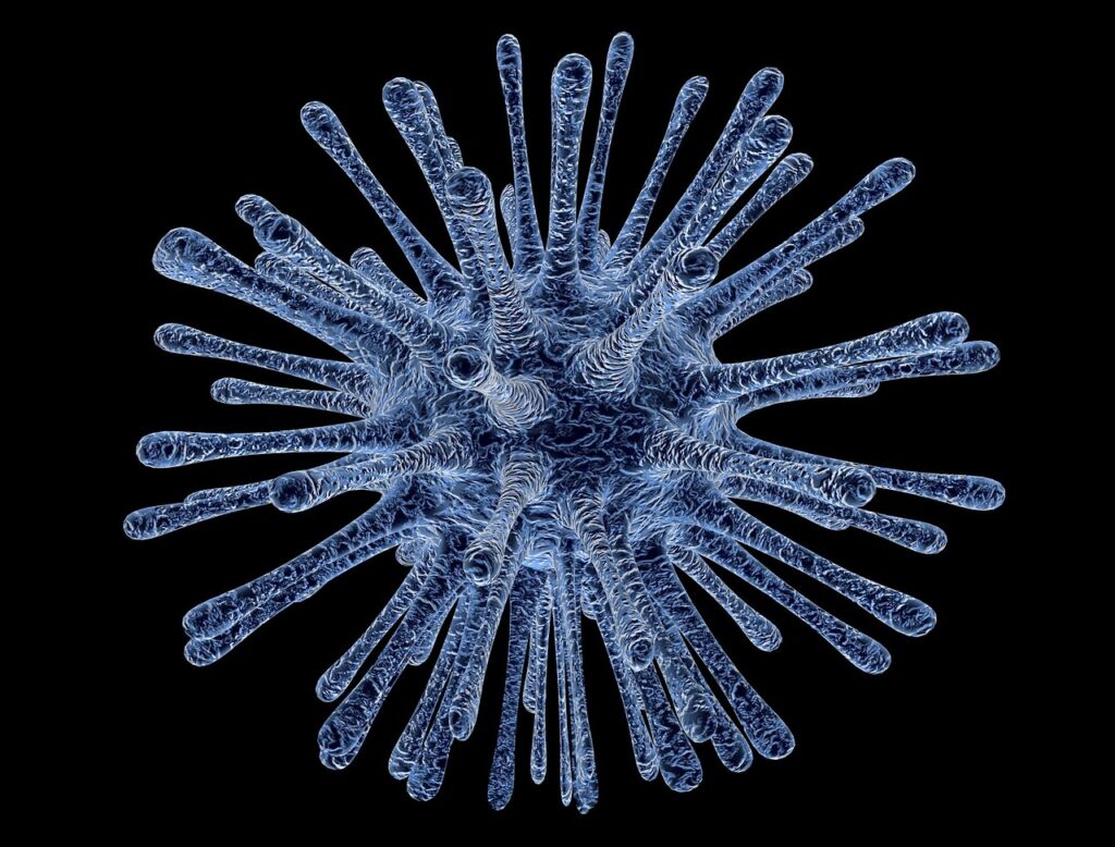 virus, bacterium, infection-213708.jpg